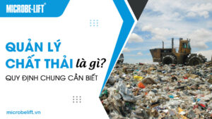 Quản lý chất thải là gì? Quy định chung cần biết