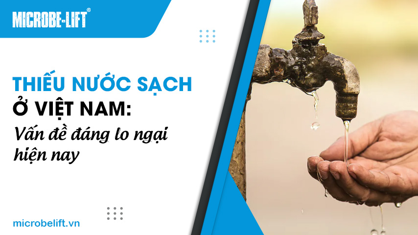 Thiếu nước sạch ở Việt Nam: Vấn đề đáng lo ngại hiện nay