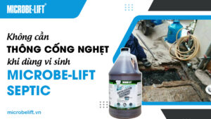 Không cần thông cống nghẹt khi dùng vi sinh Microbe-Lift SEPTIC