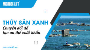 Thủy sản xanh: Chuyển đổi để tạo ưu thế xuất khẩu