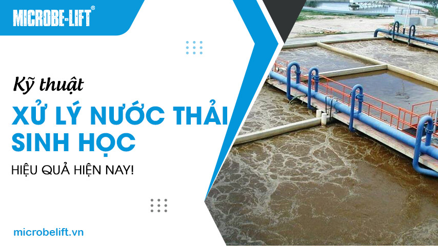 Kỹ thuật xử lý nước thải sinh học hiệu quả hiện nay!