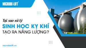 Tại sao xử lý sinh học kỵ khí tạo ra năng lượng?