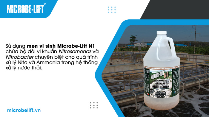 Sử dụng men vi sinh Microbe-Lift N1 chứa bộ đôi vi khuẩn Nitrosomonas và Nitrobacter chuyên biệt cho quá trình xử lý Nitơ và Ammonia trong hệ thống xử lý nước thải. Sử dụng men vi sinh Microbe-Lift N1 chứa bộ đôi vi khuẩn Nitrosomonas và Nitrobacter chuyên biệt cho quá trình xử lý Nitơ và Ammonia trong hệ thống xử lý nước thải.