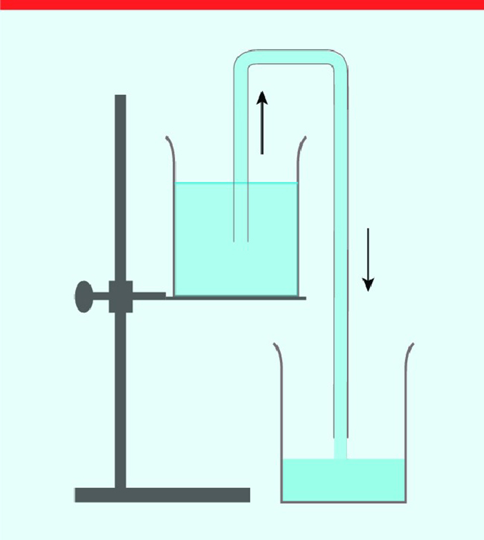 Siphon ao tôm là làm gì? Nguyên lý Siphon 2 Nguyên lý siphon ao tôm