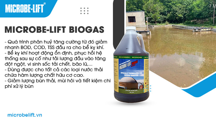 Men vi sinh Microbe-Lift BIOGAS giúp tăng khí Biogas hiệu quả và nâng cao hiệu suất xử lý sinh học của toàn hệ thống xử lý nước thải. Men vi sinh Microbe-Lift BIOGAS giúp tăng khí Biogas hiệu quả và nâng cao hiệu suất xử lý sinh học của toàn hệ thống xử lý nước thải.