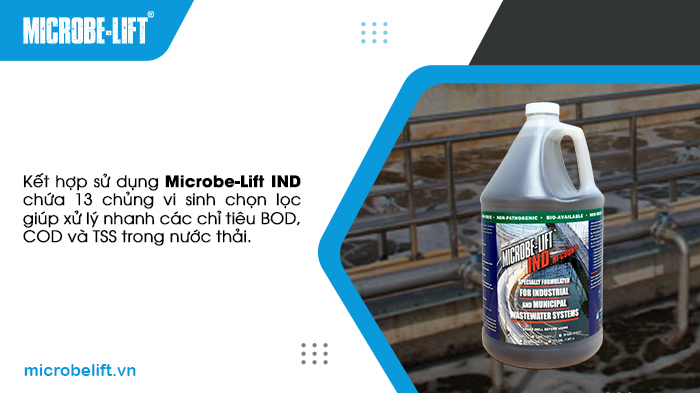 Kết hợp sử dụng Microbe-Lift IND chứa 13 chủng vi sinh chọn lọc giúp xử lý nhanh các chỉ tiêu BOD, COD và TSS trong nước thải. Kết hợp sử dụng Microbe-Lift IND chứa 13 chủng vi sinh chọn lọc giúp xử lý nhanh các chỉ tiêu BOD, COD và TSS trong nước thải.