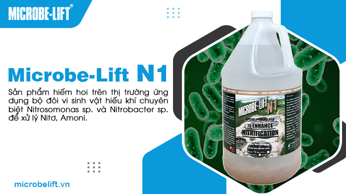 Microbe-Lift N1 - Sản phẩm hiếm hoi trên thị trường ứng dụng bộ đôi vi sinh vật hiếu khí chuyên biệt Nitrosomonas sp. và Nitrobacter sp. để xử lý Nitơ, Amoni. Microbe-Lift N1 - Sản phẩm hiếm hoi trên thị trường ứng dụng bộ đôi vi sinh vật hiếu khí chuyên biệt Nitrosomonas sp. và Nitrobacter sp. để xử lý Nitơ, Amoni.