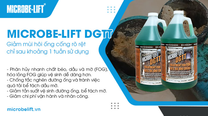 Sử dụng men vi sinh Microbe-Lift DGTT để khử mùi hôi ống cống. Sử dụng men vi sinh Microbe-Lift DGTT để khử mùi hôi ống cống.