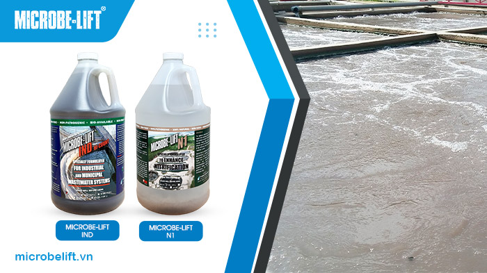 Kết hợp men vi sinh Microbe-Lift IND và Microbe-Lift N1 để tăng hiệu suất tại bể sinh học thiếu khí và hiếu khí trong hệ thống xử lý nước thải chứa tinh bột. Kết hợp men vi sinh Microbe-Lift IND và Microbe-Lift N1 để tăng hiệu suất tại bể sinh học thiếu khí và hiếu khí trong hệ thống xử lý nước thải chứa tinh bột.