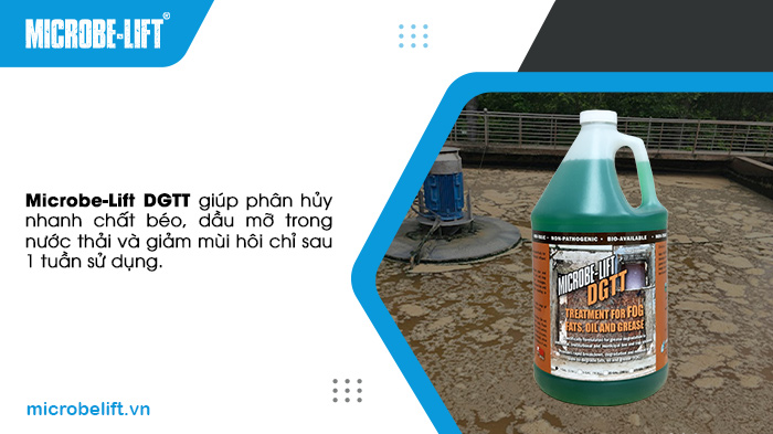 Microbe-Lift DGTT giúp phân hủy nhanh chất béo, dầu mỡ trong nước thải và giảm mùi hôi chỉ sau 1 tuần sử dụng. Microbe-Lift DGTT giúp phân hủy nhanh chất béo, dầu mỡ trong nước thải và giảm mùi hôi chỉ sau 1 tuần sử dụng.
