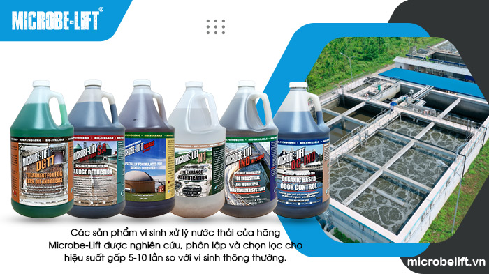 Các sản phẩm vi sinh xử lý nước thải của hãng Microbe-Lift được nghiên cứu, phân lập và chọn lọc cho hiệu suất gấp 5-10 lần so với vi sinh thông thường. Các sản phẩm vi sinh xử lý nước thải của hãng Microbe-Lift được nghiên cứu, phân lập và chọn lọc cho hiệu suất gấp 5-10 lần so với vi sinh thông thường.