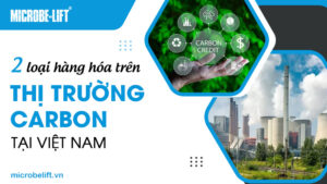 2 loại hàng hóa trên thị trường Carbon tại Việt Nam