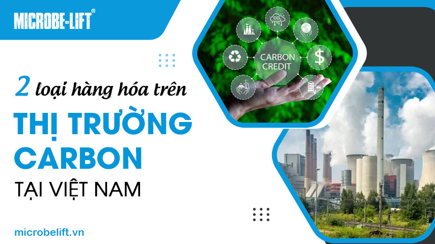 2 loại hàng hóa trên thị trường Carbon tại Việt Nam