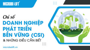 Chỉ số doanh nghiệp phát triển bền vững (CSI) và những điều cần biết