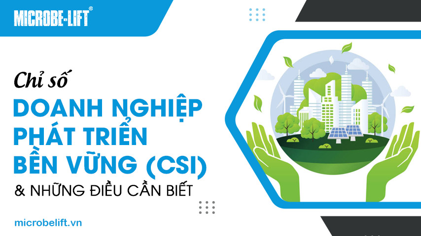 Chỉ số doanh nghiệp phát triển bền vững (CSI) và những điều cần biết