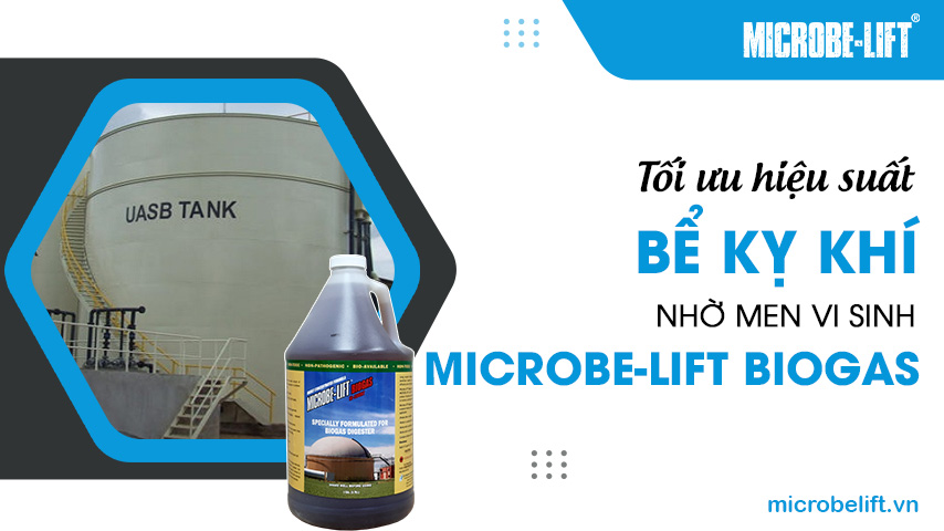 Tối ưu hiệu suất bể kỵ khí nhờ men vi sinh Microbe-Lift BIOGAS