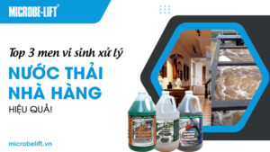Top 3 men vi sinh xử lý nước thải nhà hàng hiệu quả!