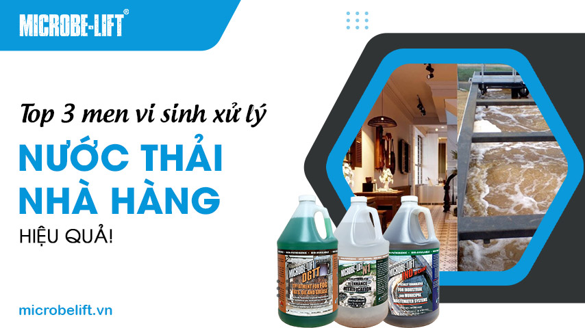 Top 3 men vi sinh xử lý nước thải nhà hàng hiệu quả!