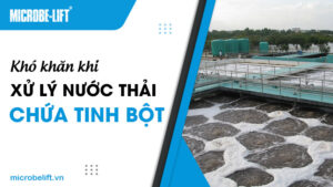 Khó khăn khi xử lý nước thải chứa tinh bột