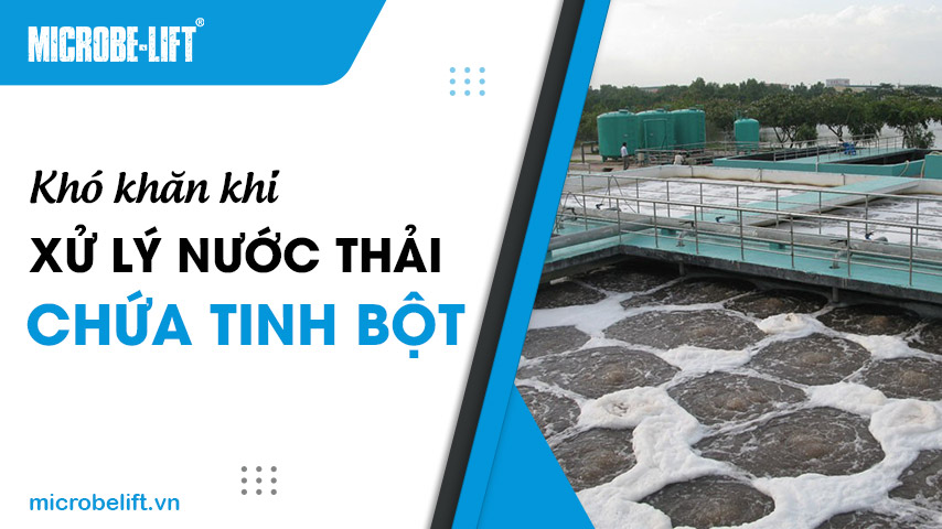 Khó khăn khi xử lý nước thải chứa tinh bột