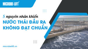 5 nguyên nhân khiến nước thải đầu ra không đạt chuẩn