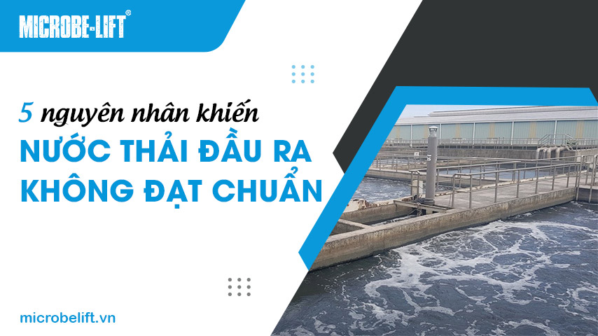 5 nguyên nhân khiến nước thải đầu ra không đạt chuẩn