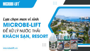 Lựa chọn men vi sinh Microbe-Lift để xử lý nước thải khách sạn, resort