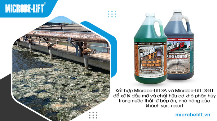 Kết hợp bộ đôi Microbe-Lift SA và Microbe-Lift DGTT để xử lý bùn và tình trạng tắc nghẽn của nước thải khách sạn, resort. Kết hợp bộ đôi Microbe-Lift SA và Microbe-Lift DGTT để xử lý bùn và tình trạng tắc nghẽn của nước thải khách sạn, resort.