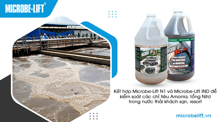 Microbe-Lift N1 và Microbe-Lift IND là bộ đôi men vi sinh Microbe-Lift chuyên biệt cho xử lý Amonia, tổng Nitơ trong nước thải, kể cả nước thải khách sạn, resort. Microbe-Lift N1 và Microbe-Lift IND là bộ đôi men vi sinh Microbe-Lift chuyên biệt cho xử lý Amonia, tổng Nitơ trong nước thải, kể cả nước thải khách sạn, resort.