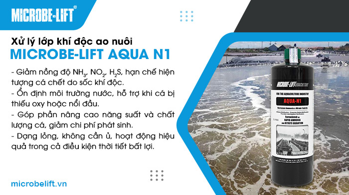 Men vi sinh Microbe-Lift AQUA N1 chuyên dùng để xử lý các khí độc, giúp duy trì môi trường nước an toàn, hạn chế rủi ro và tăng năng suất nuôi. Men vi sinh Microbe-Lift AQUA N1 chuyên dùng để xử lý các khí độc, giúp duy trì môi trường nước an toàn, hạn chế rủi ro và tăng năng suất nuôi.