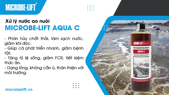 Sử dụng Microbe-Lift AQUA C trong mô hình nuôi cá rô phi thâm canh giúp cải thiện chất lượng nước và ổn định hệ sinh thái ao nuôi. Sử dụng Microbe-Lift AQUA C trong mô hình nuôi cá rô phi thâm canh giúp cải thiện chất lượng nước và ổn định hệ sinh thái ao nuôi.