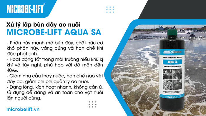 Men vi sinh Microbe-Lift AQUA SA giúp xử lý hiệu quả lớp bùn đáy ao nuôi cá rô phi, nơi tích tụ nhiều chất hữu cơ và khí độc gây hại cho sức khỏe vật nuôi. Men vi sinh Microbe-Lift AQUA SA giúp xử lý hiệu quả lớp bùn đáy ao nuôi cá rô phi, nơi tích tụ nhiều chất hữu cơ và khí độc gây hại cho sức khỏe vật nuôi.