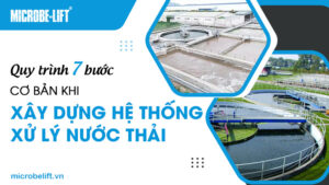Quy trình 7 bước cơ bản khi xây dựng hệ thống xử lý nước thải