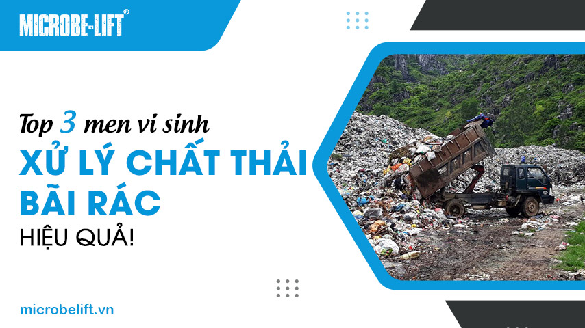 Top 3 men vi sinh xử lý chất thải bãi rác hiệu quả!
