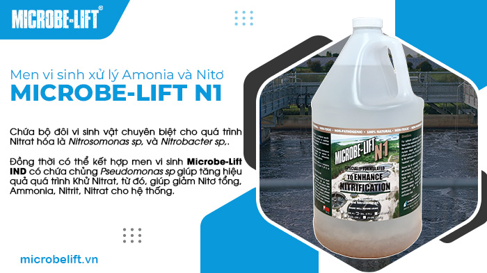 3 dấu hiệu cho thấy nước thải không được xử lý đúng cách 2 Men vi sinh xử lý Nitơ, Amonia Microbe-Lift N1