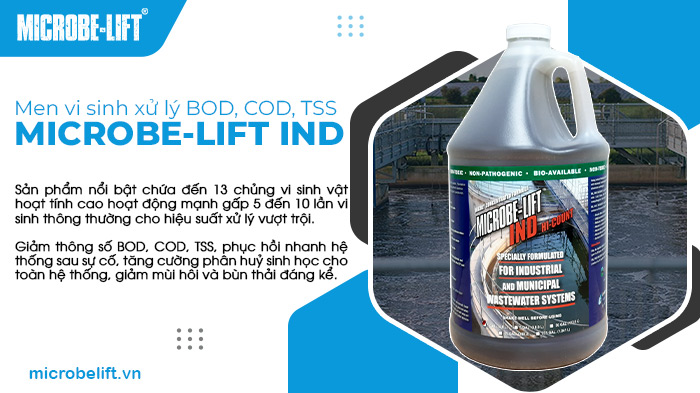 3 dấu hiệu cho thấy nước thải không được xử lý đúng cách 3 Men vi sinh xử lý BOD, COD, TSS Microbe-Lift IND