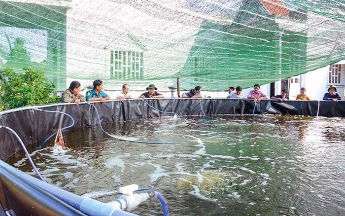 Thuốc tím có tính đối kháng với nhiều hợp chất Thuốc tím có tính đối kháng với nhiều hợp chất