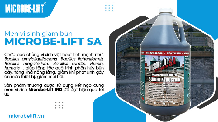 Men vi sinh xử lý bùn Microbe-Lift SA Men vi sinh xử lý bùn Microbe-Lift SA