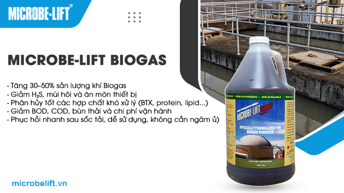 Microbe-Lift BIOGAS giúp phân hủy kỵ khí các chất hữu cơ, khử sulfate và tạo khí Biogas. Microbe-Lift BIOGAS giúp phân hủy kỵ khí các chất hữu cơ, khử sulfate và tạo khí Biogas.