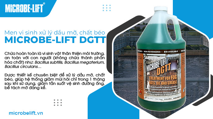 Men vi sinh xử lý dầu mỡ Microbe-Lift DGTT Men vi sinh xử lý dầu mỡ Microbe-Lift DGTT