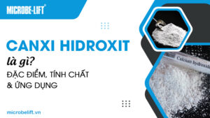 Canxi Hidroxit là gì? Đặc điểm, tính chất và ứng dụng