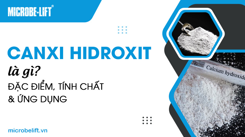 Canxi Hidroxit là gì? Đặc điểm, tính chất và ứng dụng