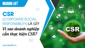 CSR (Corporate Social Responsibility) là gì? Vì sao doanh nghiệp cần thực hiện CSR?