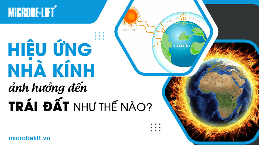 Hiệu ứng nhà kính ảnh hưởng đến Trái Đất như thế nào?