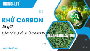 Khử carbon là gì? Các ví dụ về khử carbon