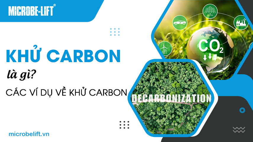 Khử carbon là gì? Các ví dụ về khử carbon