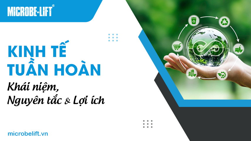 Kinh tế tuần hoàn: Khái niệm, Nguyên tắc & Lợi ích