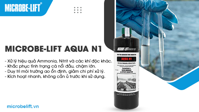 Microbe-Lift AQUA N1 là sản phẩm chuyên xử lý khí độc trong ao nuôi, giúp cá tránh hiện tượng ngạt oxy, sốc khí độc và tăng tỷ lệ sống. Microbe-Lift AQUA N1 là sản phẩm chuyên xử lý khí độc trong ao nuôi, giúp cá tránh hiện tượng ngạt oxy, sốc khí độc và tăng tỷ lệ sống.