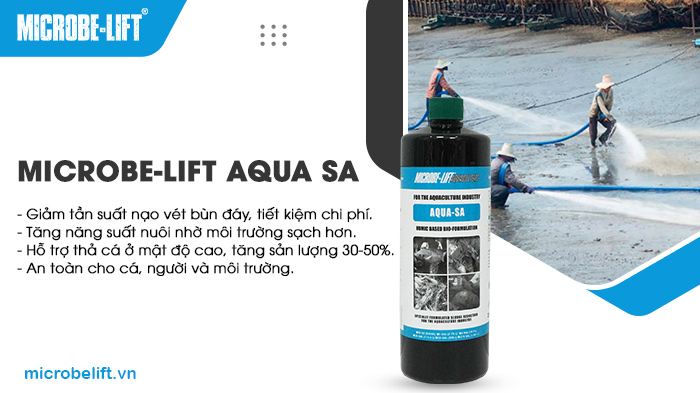 Men vi sinh Microbe-Lift AQUA SA giúp giảm lượng bùn đáy, phân hủy mùn bã hữu cơ, thức ăn thừa và phân cá, từ đó cải thiện chất lượng nước, giảm mùi hôi và làm trong nước ao nuôi cá. Men vi sinh Microbe-Lift AQUA SA giúp giảm lượng bùn đáy, phân hủy mùn bã hữu cơ, thức ăn thừa và phân cá, từ đó cải thiện chất lượng nước, giảm mùi hôi và làm trong nước ao nuôi cá.