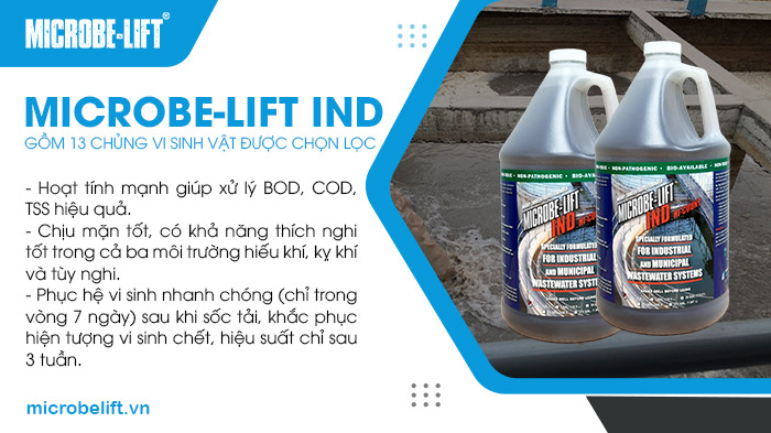 Microbe-Lift IND chứng minh hiệu quả vượt trội khi hoạt động trong môi trường nước thải có độ mặn lên tới 4%. Microbe-Lift IND chứng minh hiệu quả vượt trội khi hoạt động trong môi trường nước thải có độ mặn lên tới 4%.